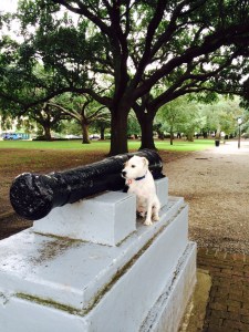 Arrrrchie and the Canon - Copy